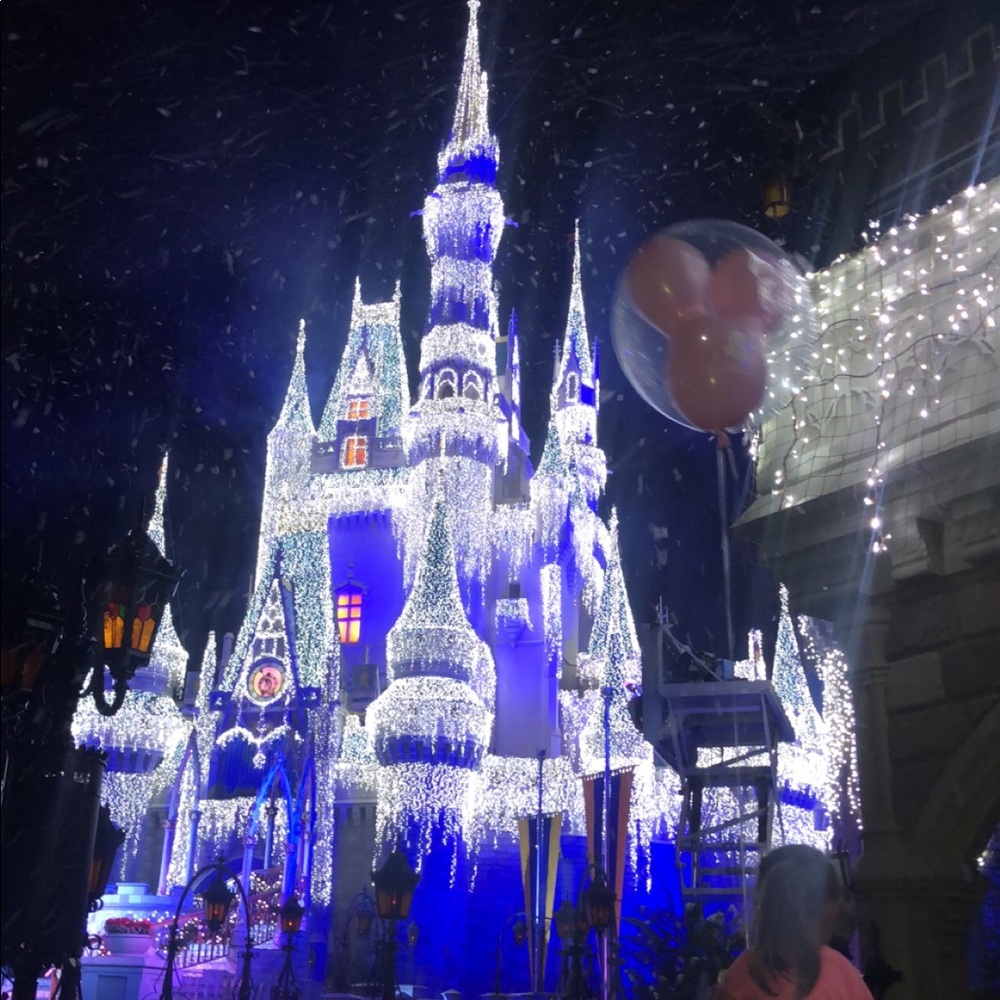 Meet your Posher, Sylvia